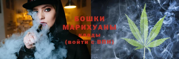 прущие грибы Кулебаки