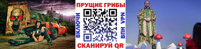 Галлюциногенные грибы Psilocybe  Купить где  Владикавказ 